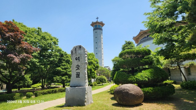 KakaoTalk_20260531_144145803_29.jpg